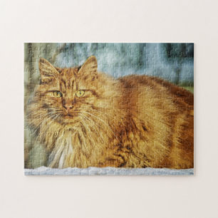 Puzzle Fluffy Naranja Tabby Maine Coon Cat