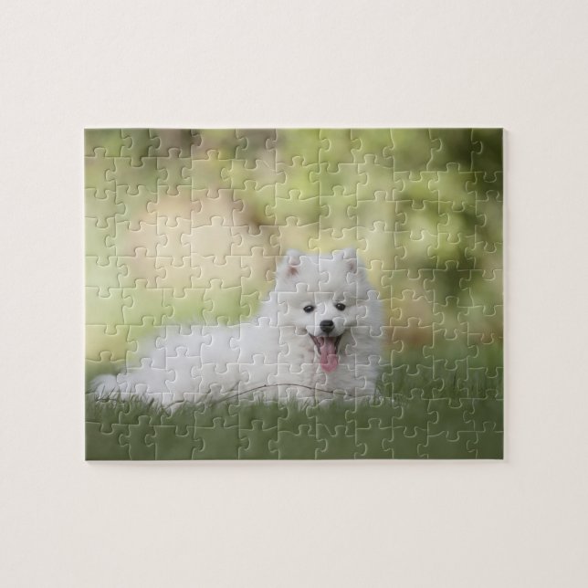 Puzzle Fluffy White Keeshond Puppy (Horizontal)