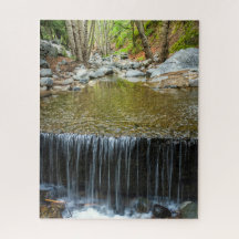 Flujo del Arroyo