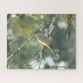 Puzzle Flycatcher de Crested marrón, amante de las aves