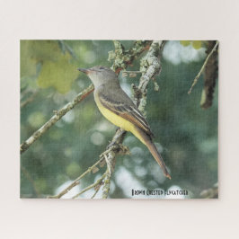 Puzzle Flycatcher de Crested marrón, amante de las aves