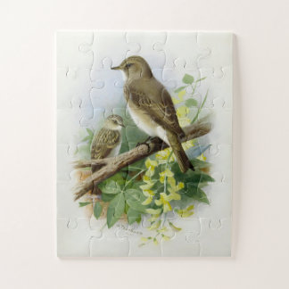 Puzzle Flycatchers, Ilustracion de arte