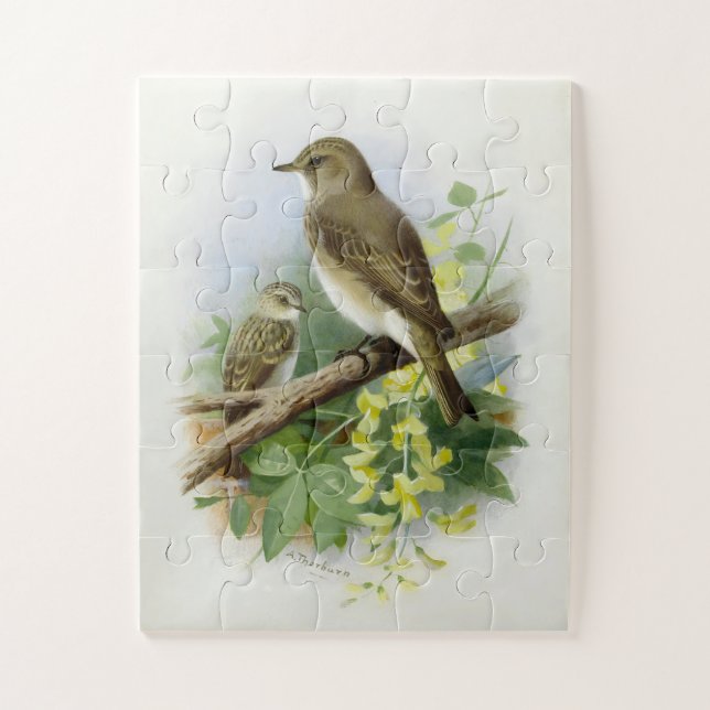Puzzle Flycatchers, Ilustracion de arte (Vertical)