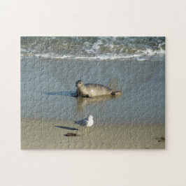 Puzzle Foca común en La Jolla California