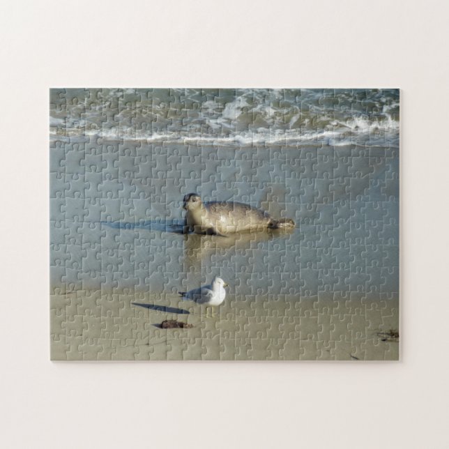 Puzzle Foca común en La Jolla California (Horizontal)