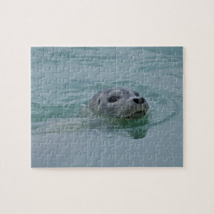 Puzzle Foca común nadando en el lago glacial Jokulsarlon