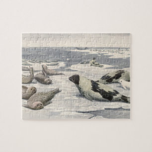 Puzzle Focas arpa antiguas en nieve ártica por Louis Fuer