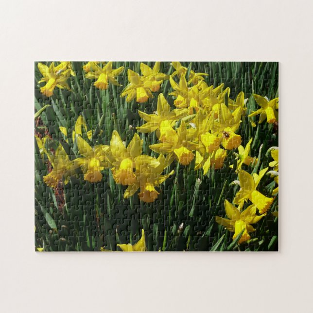 Puzzle Focos amarillos y flores de primavera alegres (Horizontal)