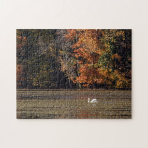 Puzzle Foliage de cisne y otoño