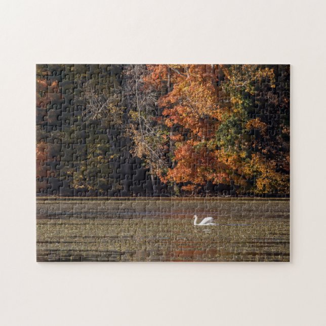 Puzzle Foliage de cisne y otoño (Horizontal)