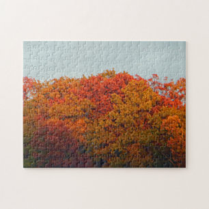 Puzzle Foliage de otoño