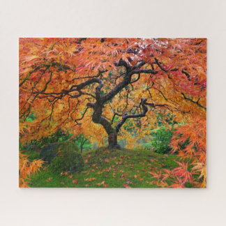 Puzzle Foliage de otoño en el jardín japonés de Portland