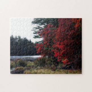 Puzzle Foliage otoñal por naturaleza de ciénaga Efecto Or