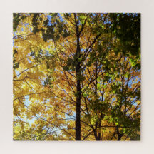 Follaje de otoño amarillo y verde
