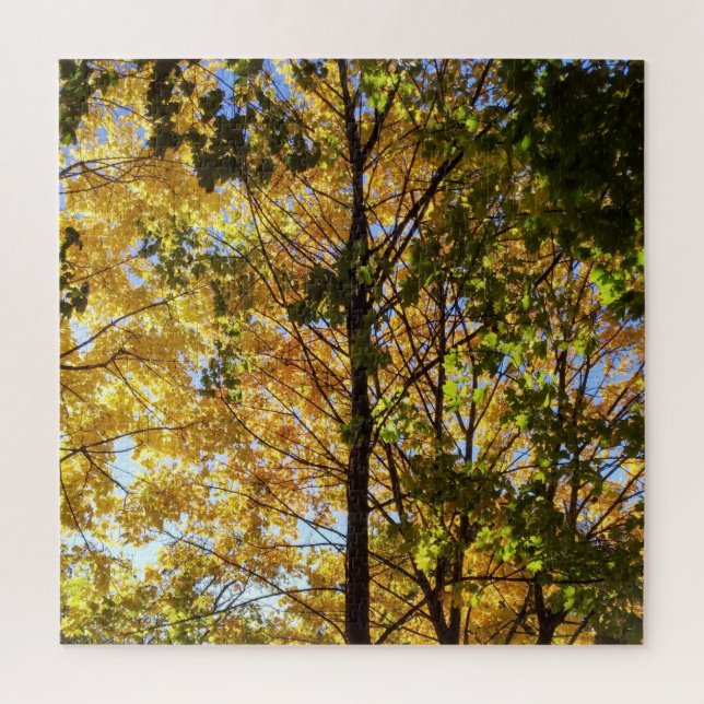 Puzzle Follaje de otoño amarillo y verde (Vertical)