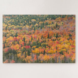 Puzzle Follaje de otoño   Península de Keweenaw, Michigan
