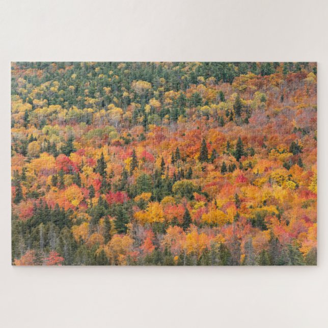 Puzzle Follaje de otoño | Península de Keweenaw, Michigan (Horizontal)