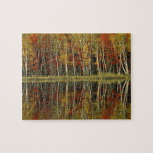 Puzzle Follaje de otoño y reflejos de abedul; Hiawatha