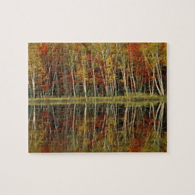 Puzzle Follaje de otoño y reflejos de abedul; Hiawatha (Horizontal)