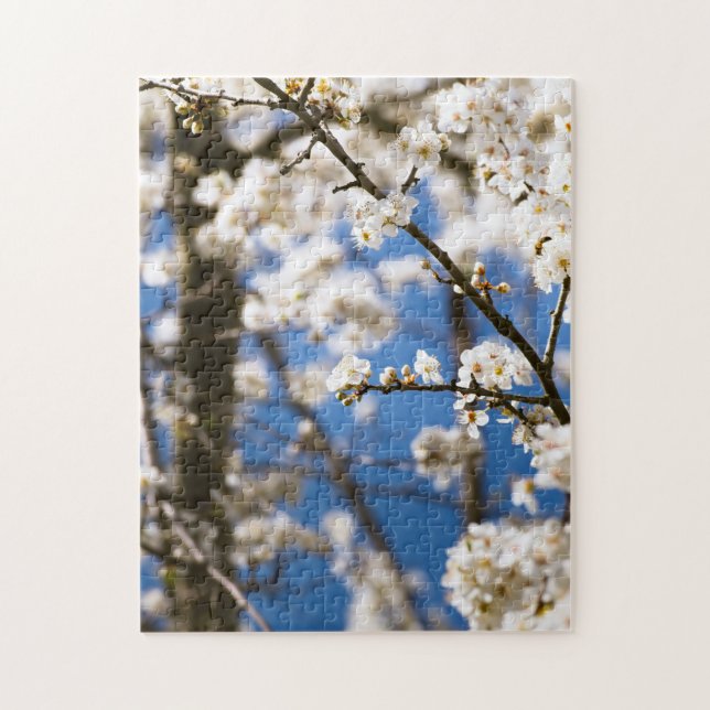 Puzzle Fondo de cielo azul Flor blanca (Vertical)