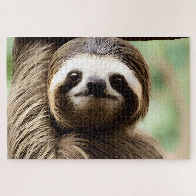 Puzzle Fondo de perezoso lindo (Horizontal)
