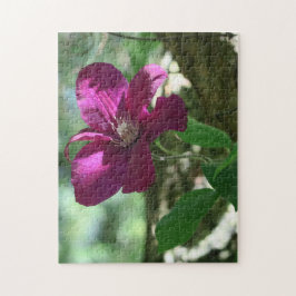 Puzzle fondo, flor, flor, naturaleza, verano,