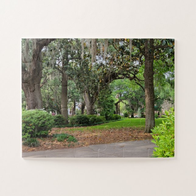 Puzzle Forsyth Park, Savannah GA (Horizontal)