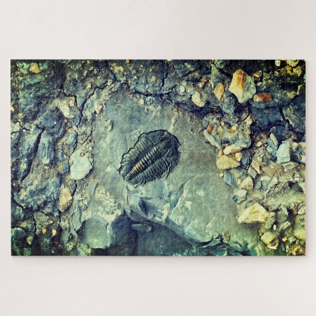 Puzzle Fósil (Horizontal)