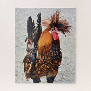 Puzzle Foto 136 Rooster