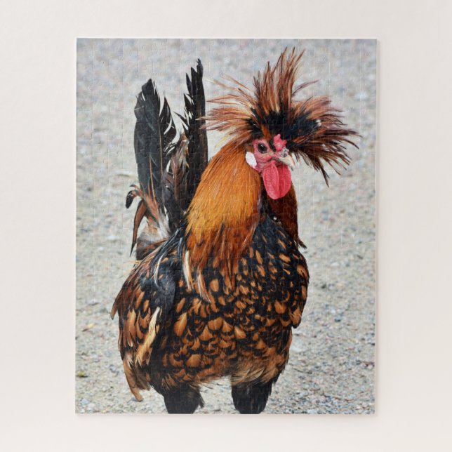 Puzzle Foto 136 Rooster (Vertical)