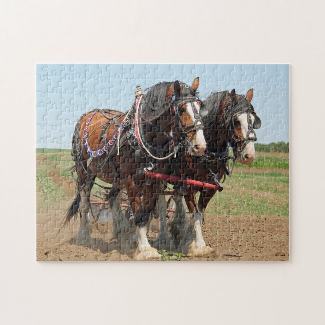 Puzzle Foto agrícola de Horse Clydesdale (Horizontal)