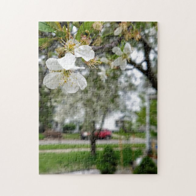 Puzzle Foto creativa de la flor de madera de dogwood romp (Vertical)