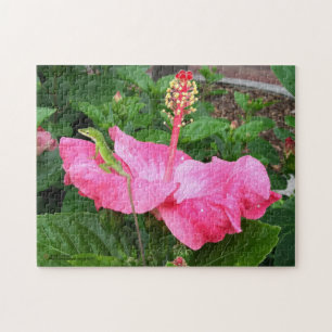 Puzzle Foto de Anole Lizard, flor rosa tropical Hibiscus