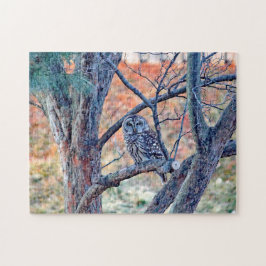 Puzzle Foto de árbol de búho salvaje con barreras