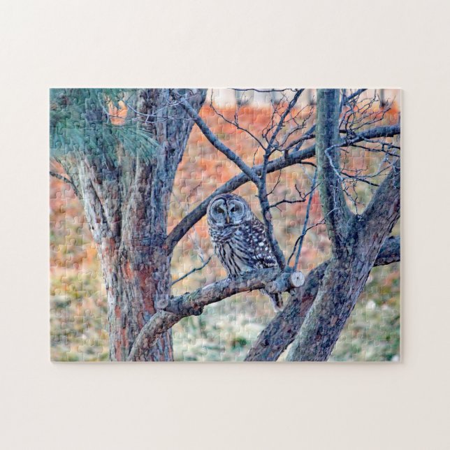 Puzzle Foto de árbol de búho salvaje con barreras (Horizontal)