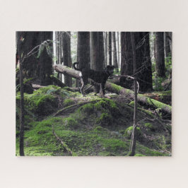 Puzzle Foto de Black Dog Lab Shepherd Forest Woods