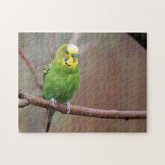 Puzzle Foto de bonito Green Budgie (Horizontal)