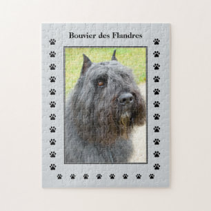 Puzzle Foto de Bouvier des Flandres