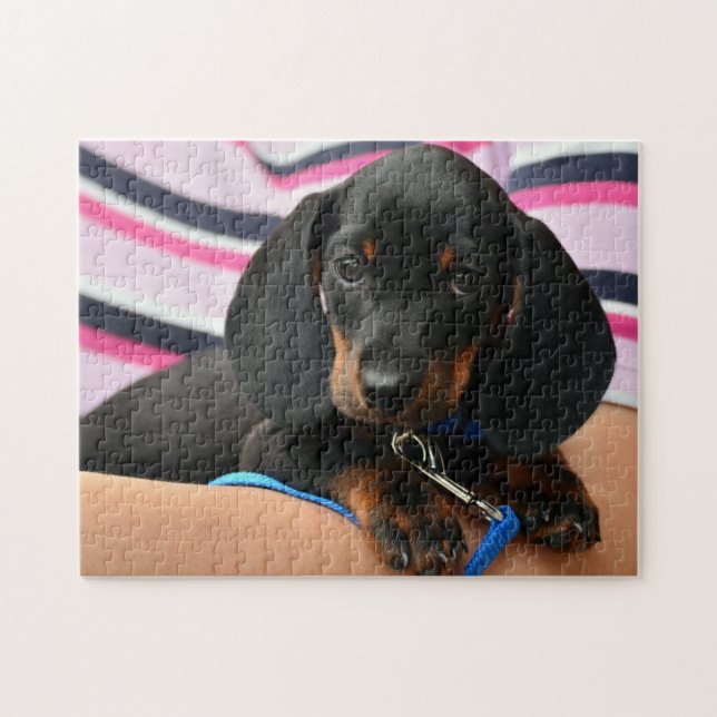 Puzzle Foto de cachorro de Dachshund lindo (Horizontal)