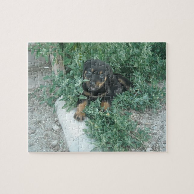Puzzle Foto de cachorro de Rottweiler (Horizontal)