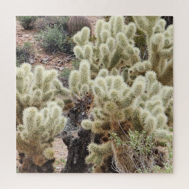 Puzzle Foto de Cholla Cactus (Vertical)