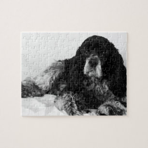 Puzzle Foto de Cocker Spaniel Blanco y Negro