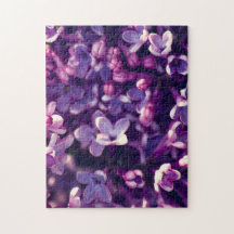 Foto de color de vacaciones