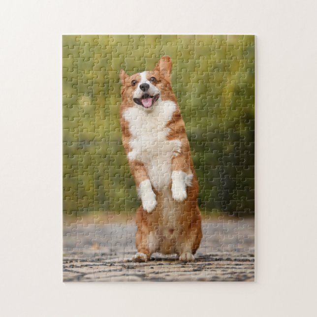 Puzzle Foto de Corgi Puppy Standing (Vertical)