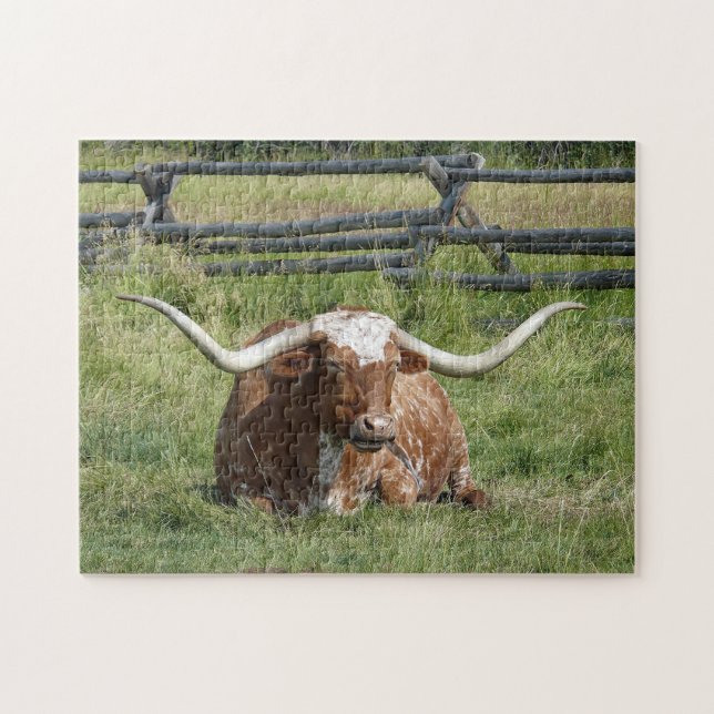 Puzzle Foto de Cow Texas Longhorn (Horizontal)