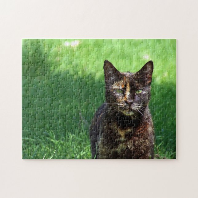 Puzzle Foto de Cute Brown Tortoiseshell Cat (Horizontal)