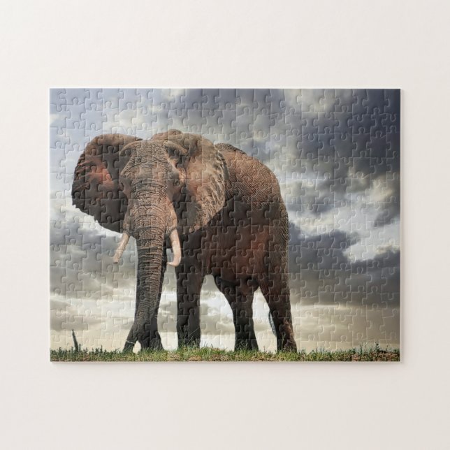 Puzzle Foto de Elefante de Vida Silvestre (Horizontal)