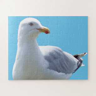 Puzzle Foto de fauna silvestre de ave de playa de gaviota