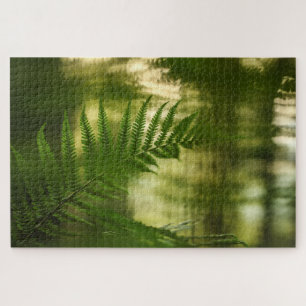 Puzzle Foto de Fern Nature