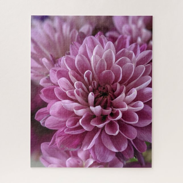 Puzzle Foto de flor de crisantemo rosa (Vertical)